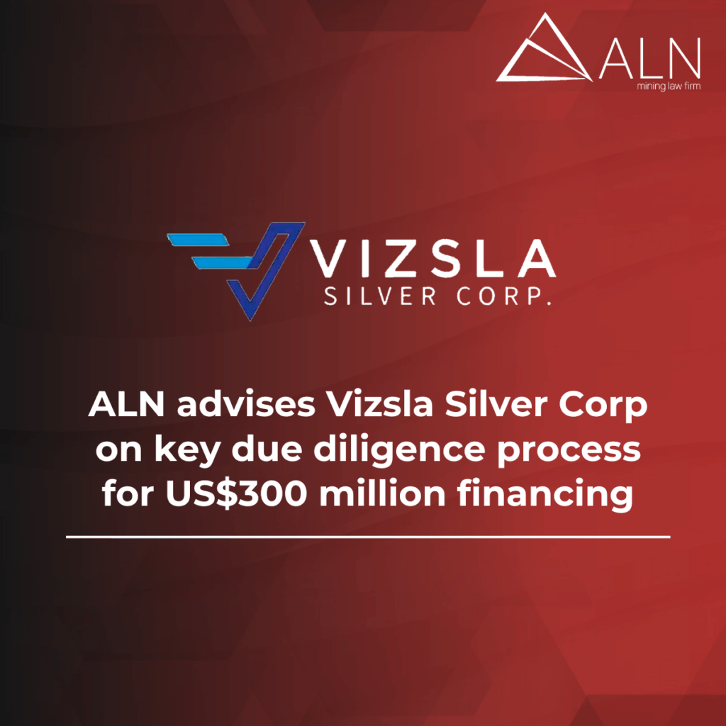 Vizsla´s key due diligence process US$300M financing