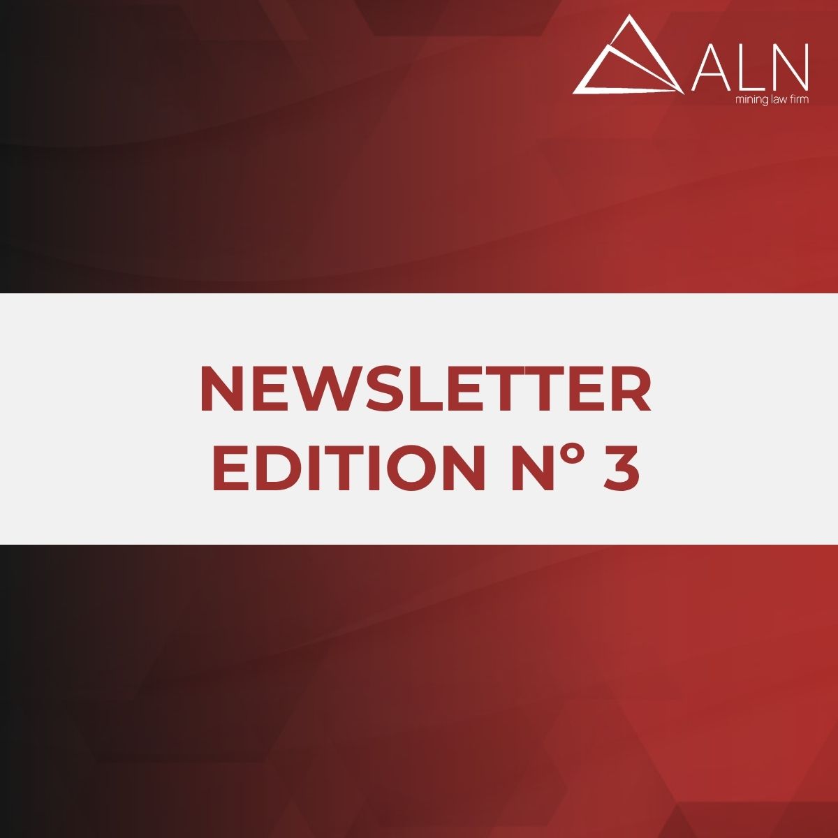 NEWSLETTER